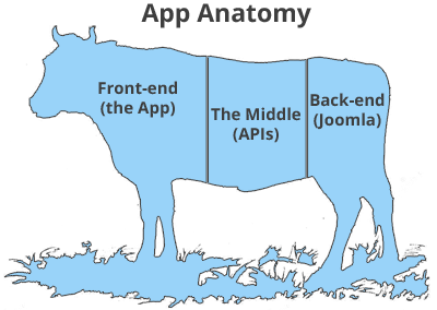 A cow as a semi useful analogy